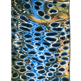 MFC Fish Gaiter