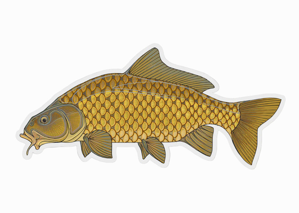 Casey Underwood Sticker Fish
