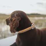 Fishpond Salty Dog Collar