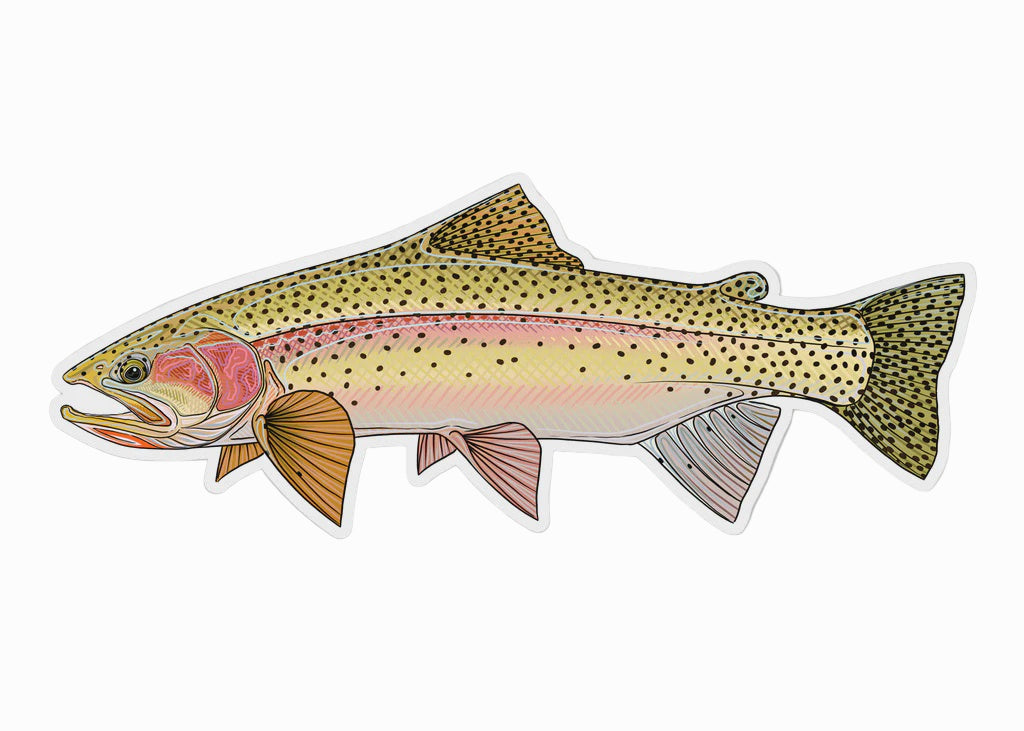 Casey Underwood Sticker Fish