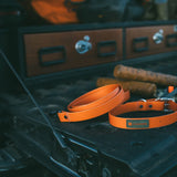 Fishpond Dog Leash
