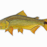 Casey Underwood Sticker Fish