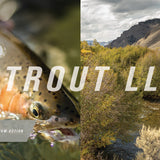Sage Trout LL