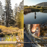Sage Trout LL