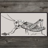Rep Your Water Grasshopper Sticker
