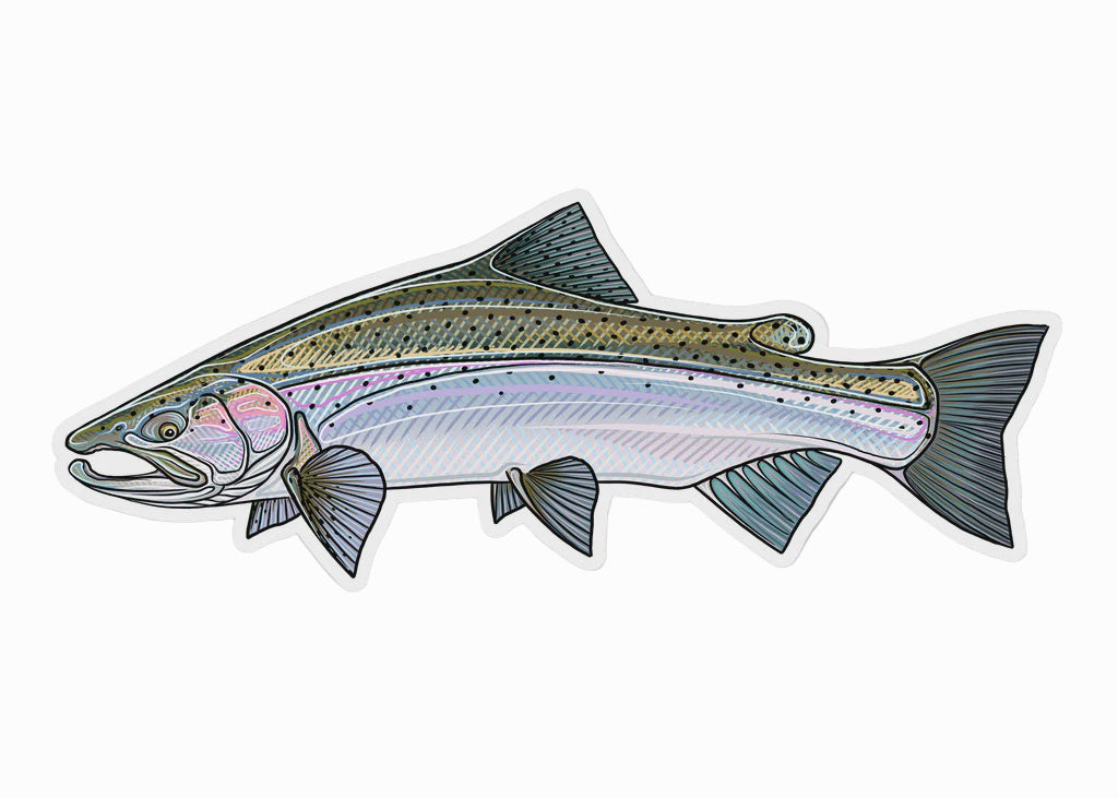 Casey Underwood Sticker Fish