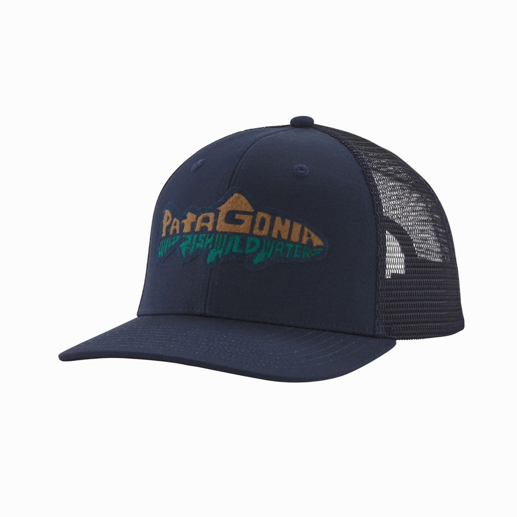 Patagonia Take a Stand Trucker Hat