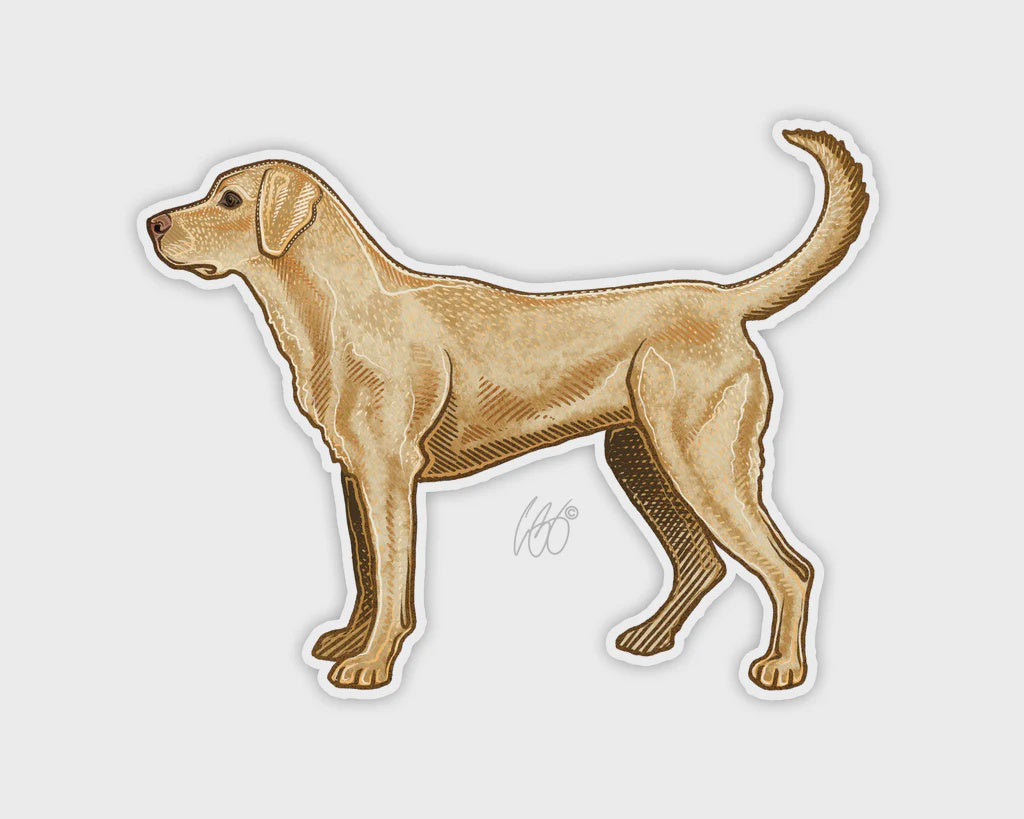 Casey Underwood Non-Fish Sticker