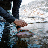 Ross Cimarron LT - LE Coors Light Reel