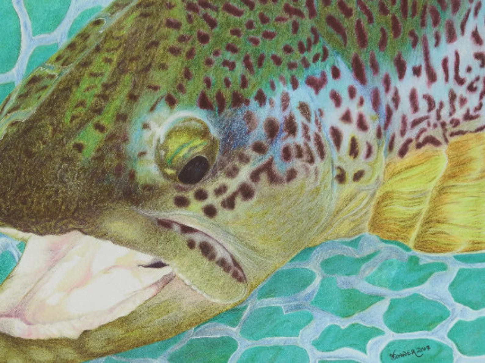 Conner Art Studio Sticker – Gallatin River Guides