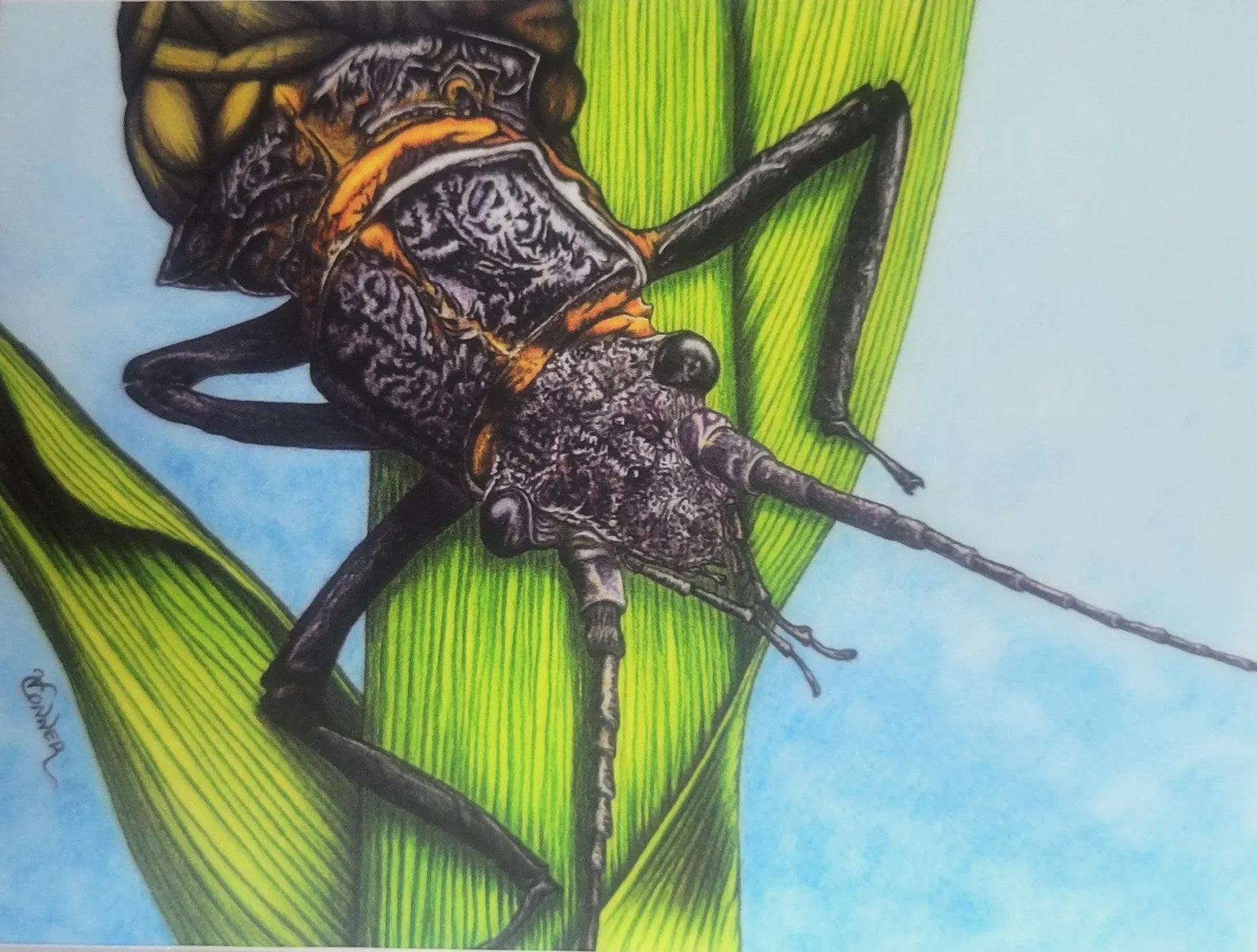 Conner Art Studio Sticker