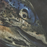 "Trout At Night'' Print