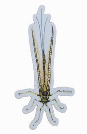 Conner Art Studio Bug Sticker